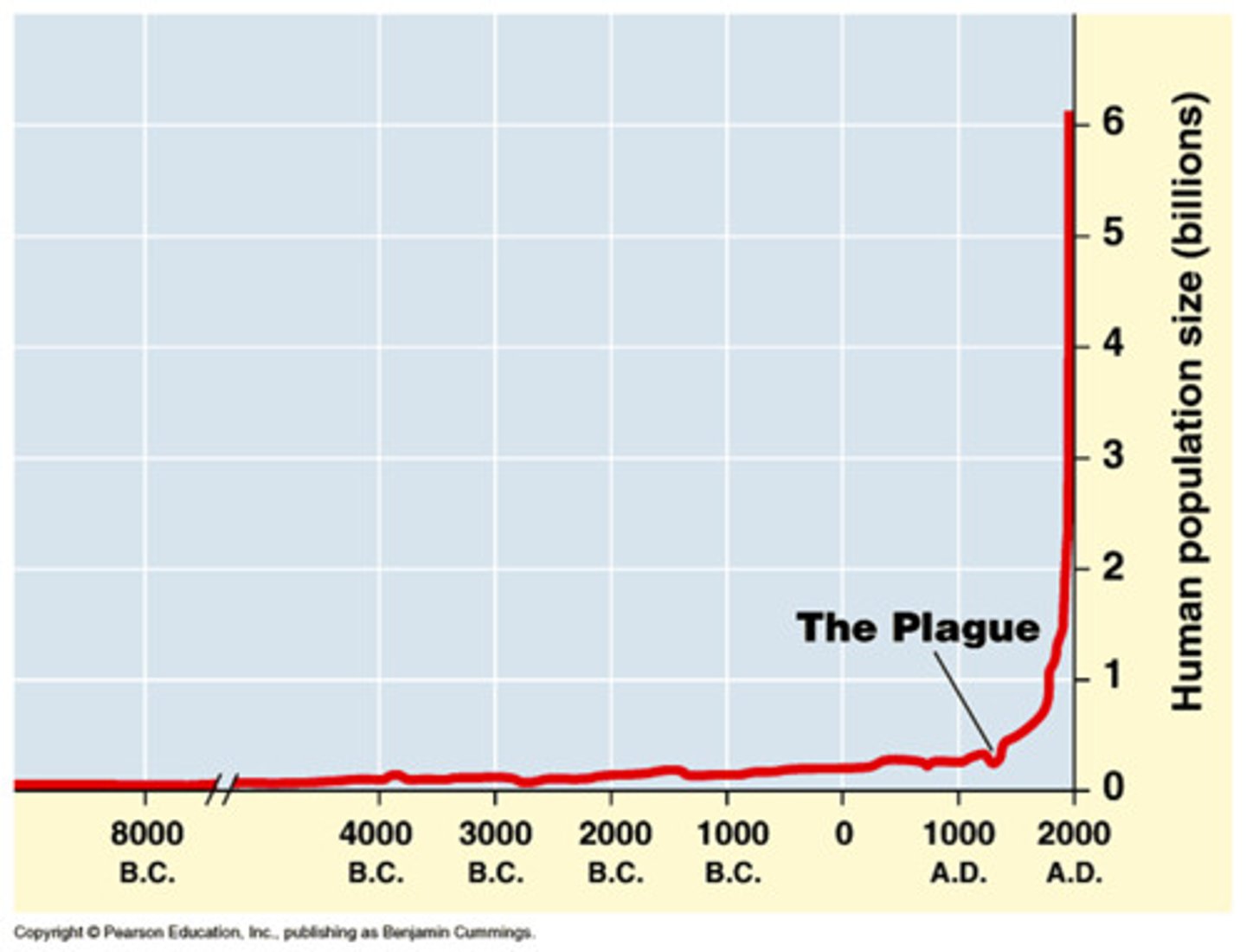 <p>Has high log phase due to:</p><p>-Improved agriculture, better nutrition increase defense against disease</p><p>-Improved public health</p><p>-Increase healthcare</p><p>Thus causes:</p><p>-Decrease in infant and child mortality rate</p><p>-Decrease in death from malnutrition</p><p>-Increase in life expectancy</p>