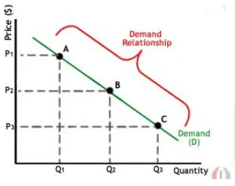 <p>the relationship between price and quantity of product/service demanded</p>
