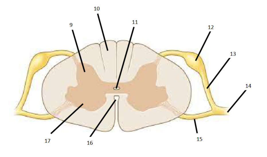 <p>15</p>