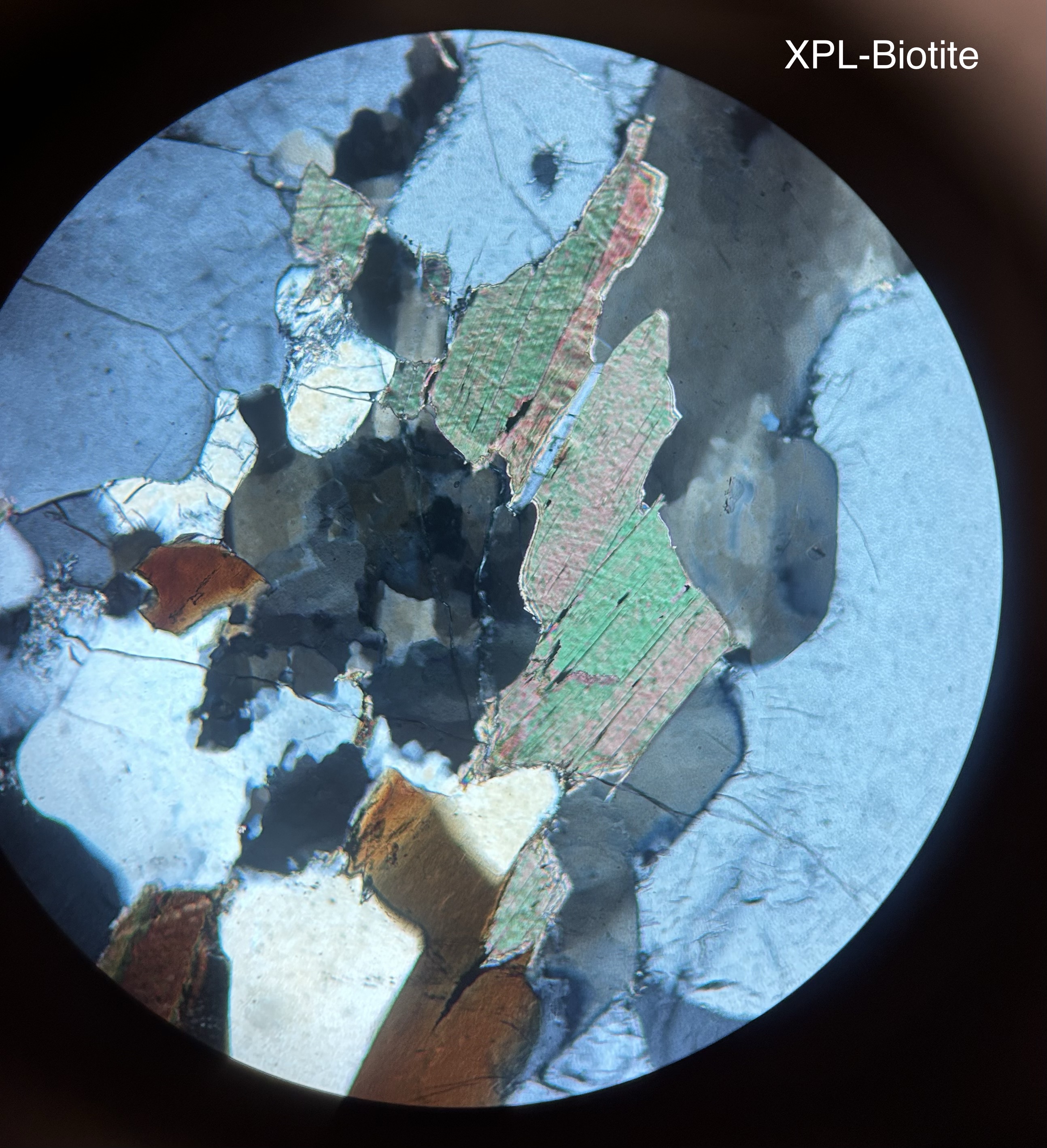 <p>KMg3(AlSi3O10)(OH2)</p><p>PPL- pleochroic for perpendicular cuts, elongated, brown to dark brown color, cleavage, positive relief</p><p>XPL-pinkish/green, birds-eye extinction</p>