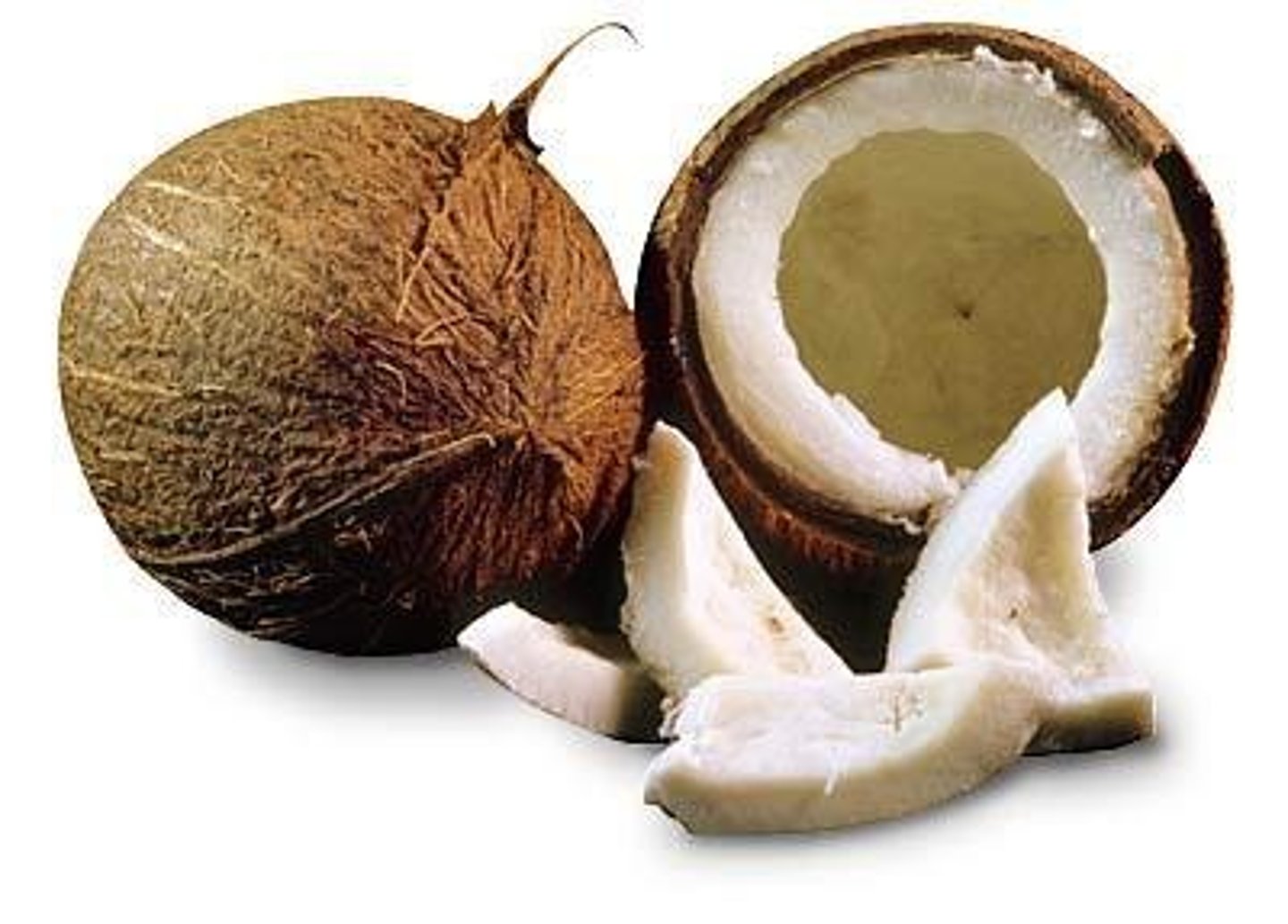 <p>coconut</p>