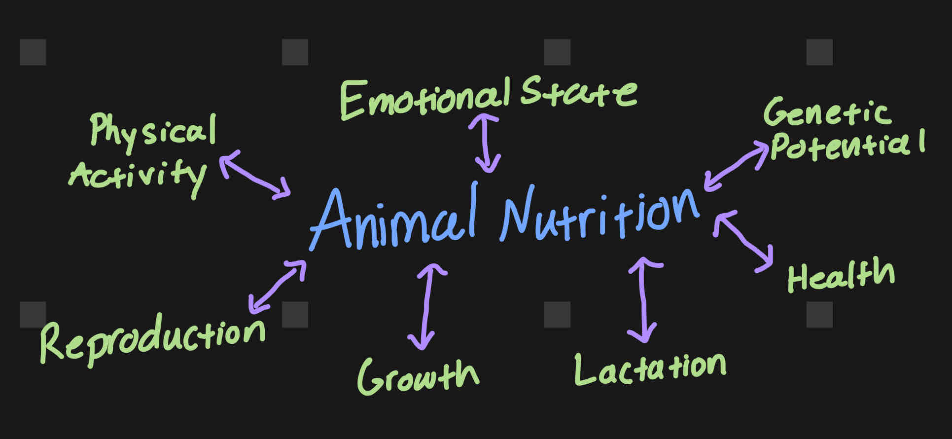 <p>Involves:</p><ol><li><p>Ingestion, digestion, and absorption of nutrients </p></li><li><p>Transport of nutrients to body cells</p></li><li><p>Removal of waste</p></li></ol><p></p>