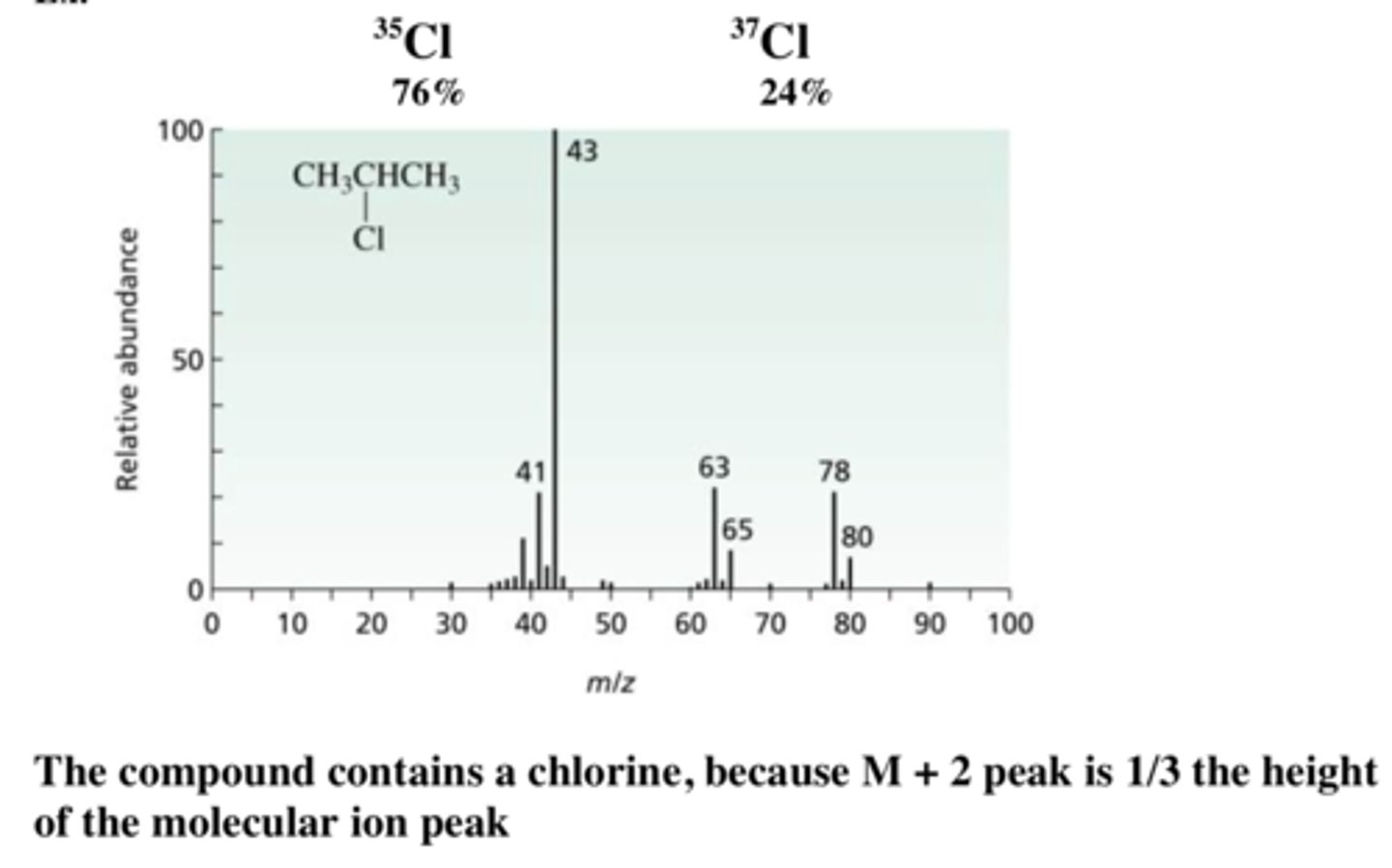 <p>- m/z value</p><p>- relative abundance of each ion</p><p>- position of peaks give atomic mass</p><p>- peak intensity gives relative abundance</p>