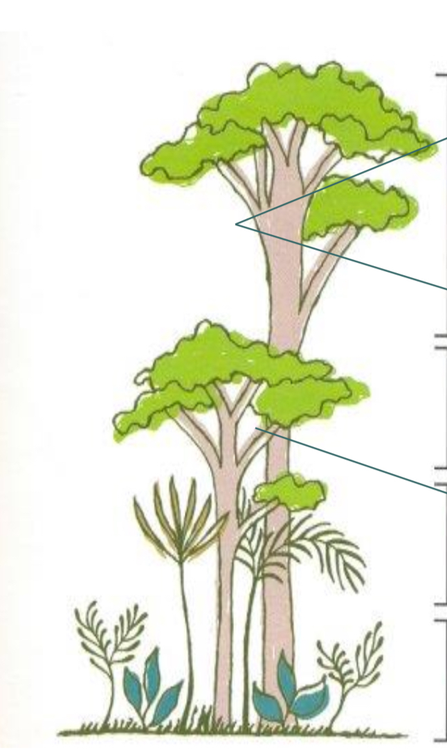 <p></p>