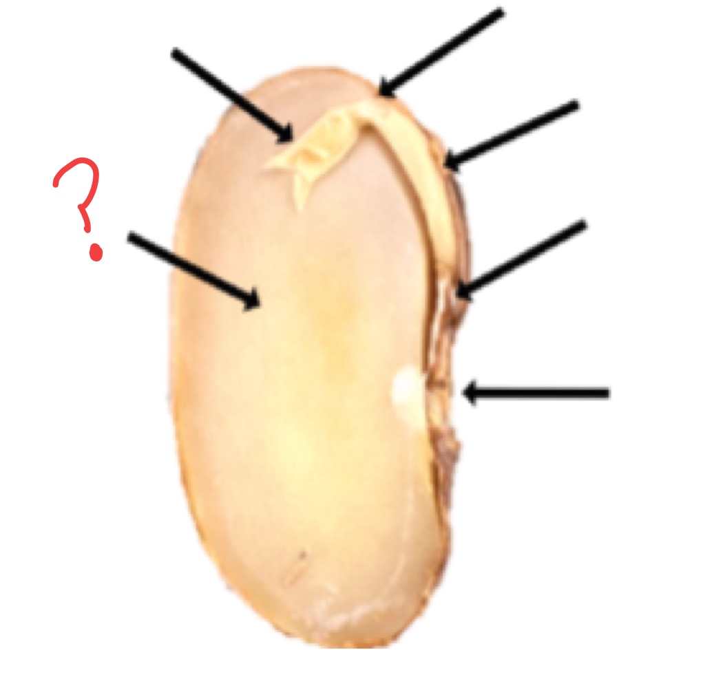 <p>what part is this?</p><p></p>