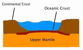 <p>Oceans lay on top of them. Usually quite thin but heavier than continental plates.</p>