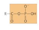 <p>Name this functional group</p>