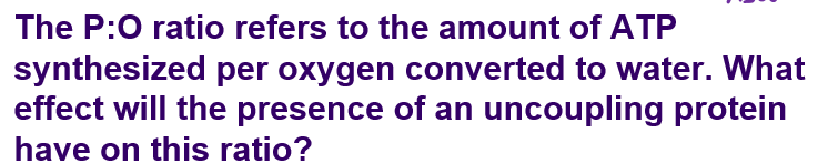 <p>a. Increase</p><p>b. Decrease</p><p>c. Depends on if NADH/FADH2 = being oxidized</p><p>d. no change</p>