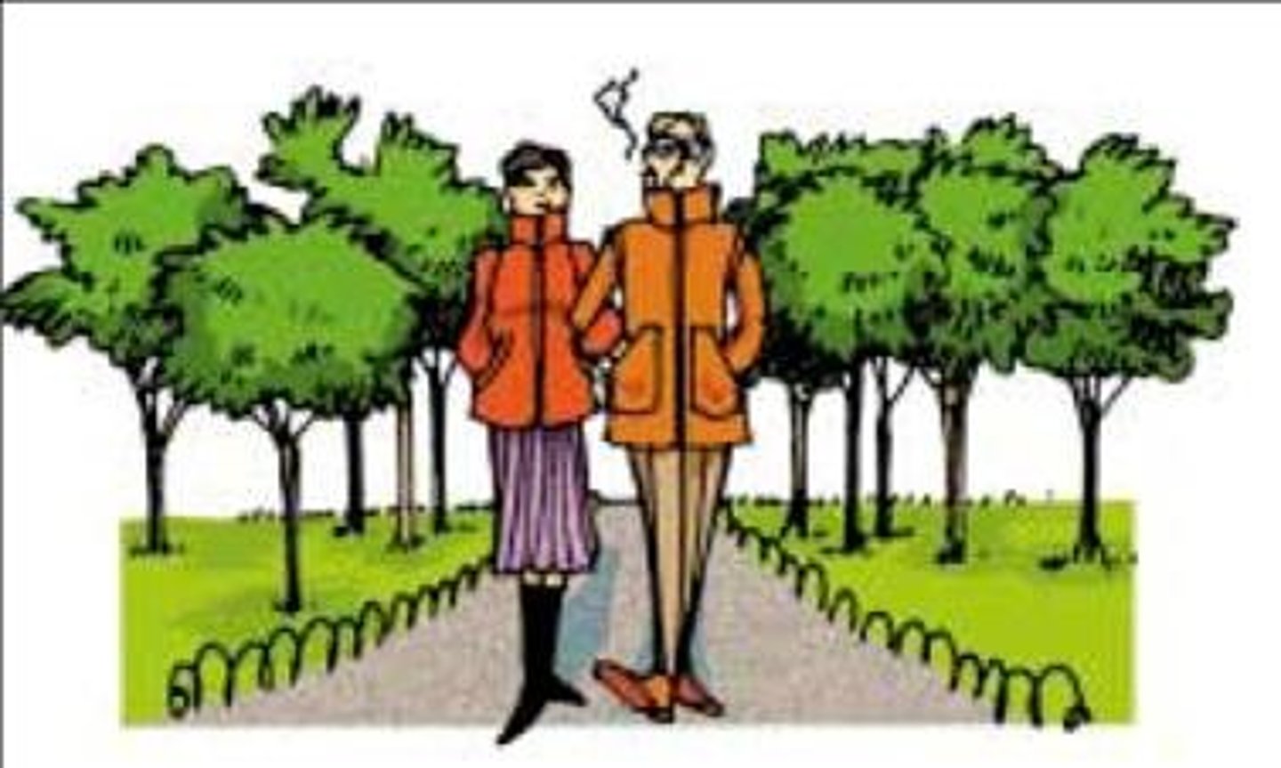 <p>to go walking</p>