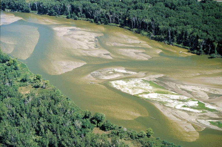 This image shows the Platte River in eastern Nebraska. Which of the following terms best describes the morphology of this stream?

a. braided river

b. delta

c. meandering river

d. alluvial fan