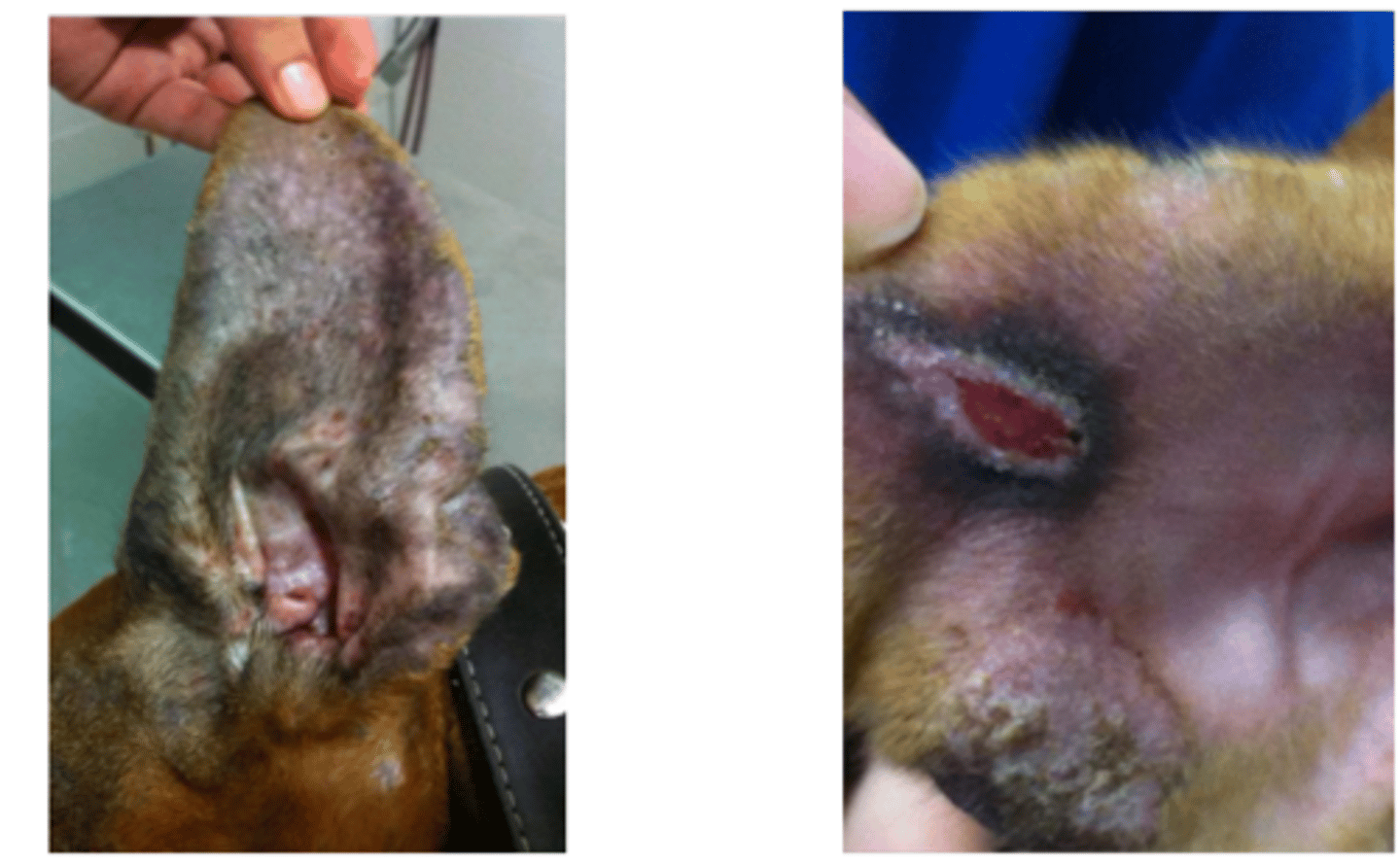 <p>what is this?</p>