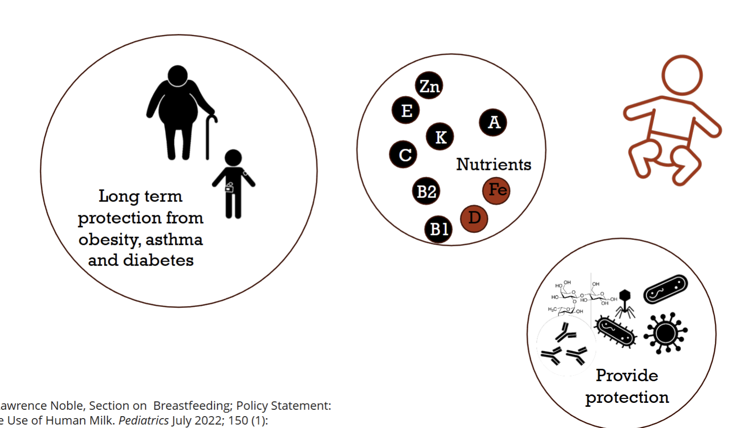 <p>Baby Benefits:</p><ul><li><p>Long-term protection from obesity, asthma, &amp; diabetes</p></li><li><p>Nutrient</p></li><li><p>Provide protection</p></li></ul><p>Mother Benefits:</p><ul><li><p>Reduce risk for breast &amp; ovarian cancer</p></li><li><p>Reduce risk of postpartum depression</p></li><li><p>Reduce risk for type 2 diabetes</p></li></ul><p></p><p></p>