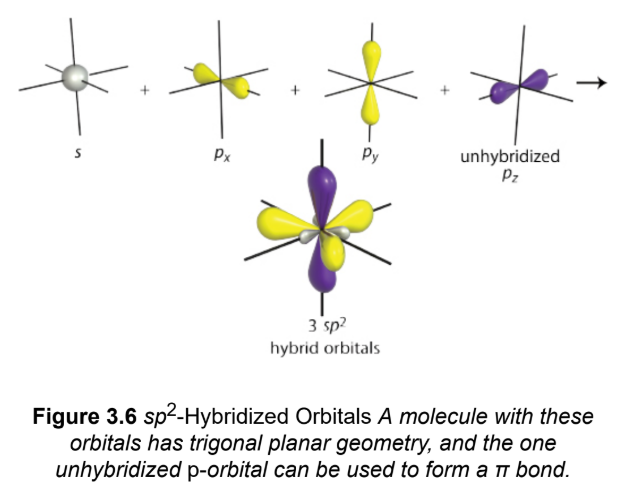 <p>one s-orbital is mixed with two p-orbitals, three hybridized orbitals; third p-orbital of each carbon is left unhybridized and participate in a π-bond; trigonal planar geometry</p>