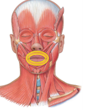 <p>What is this?</p>