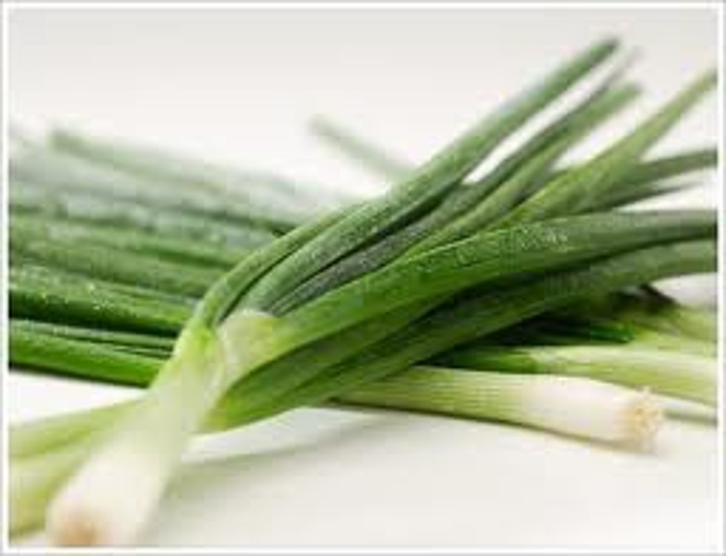 <p>green onion</p>