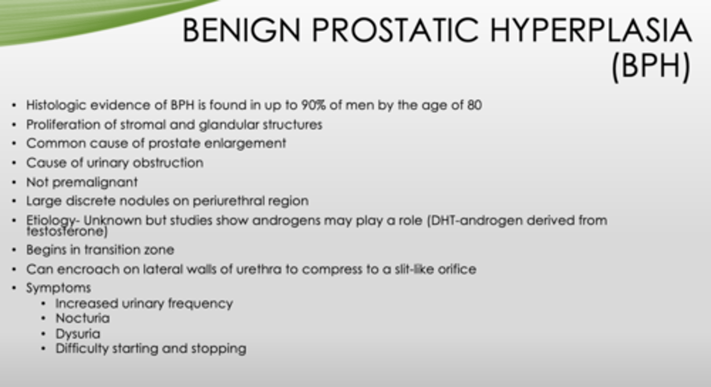 <p>BPH</p>