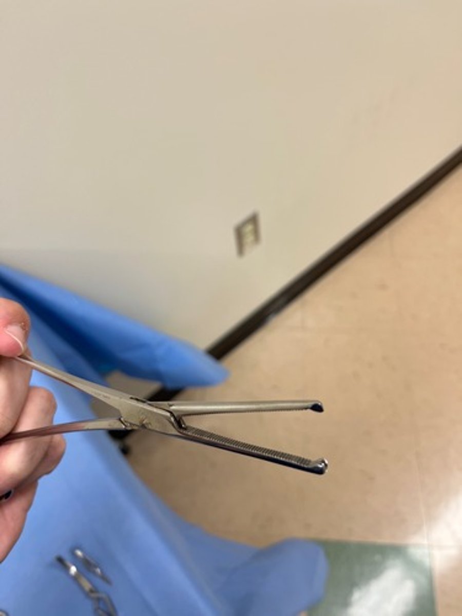 <p>Traumatic toothed clamp used to hold tissue that will be removed.</p>