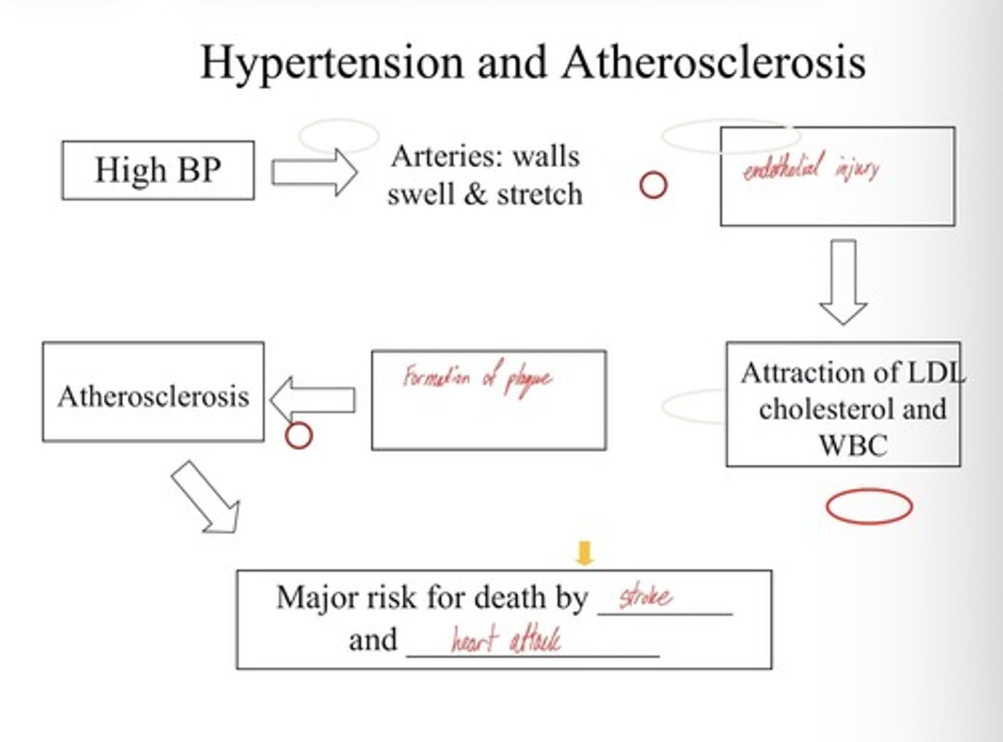 knowt flashcard image