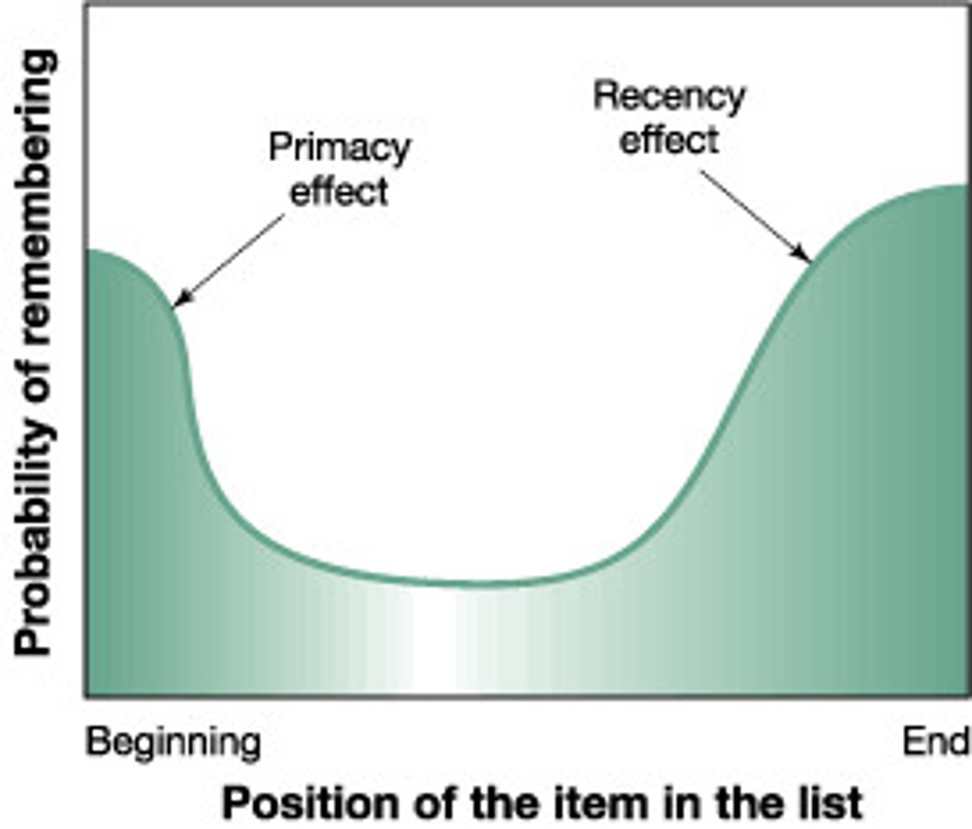 <p>our tendency to recall best the last (a recency effect) and first items (a primacy effect) in a list<br><br>We don't remember the middle!</p>