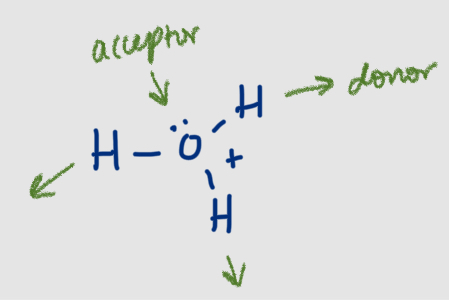 <p>4: 3 donor, 1 acceptor</p>