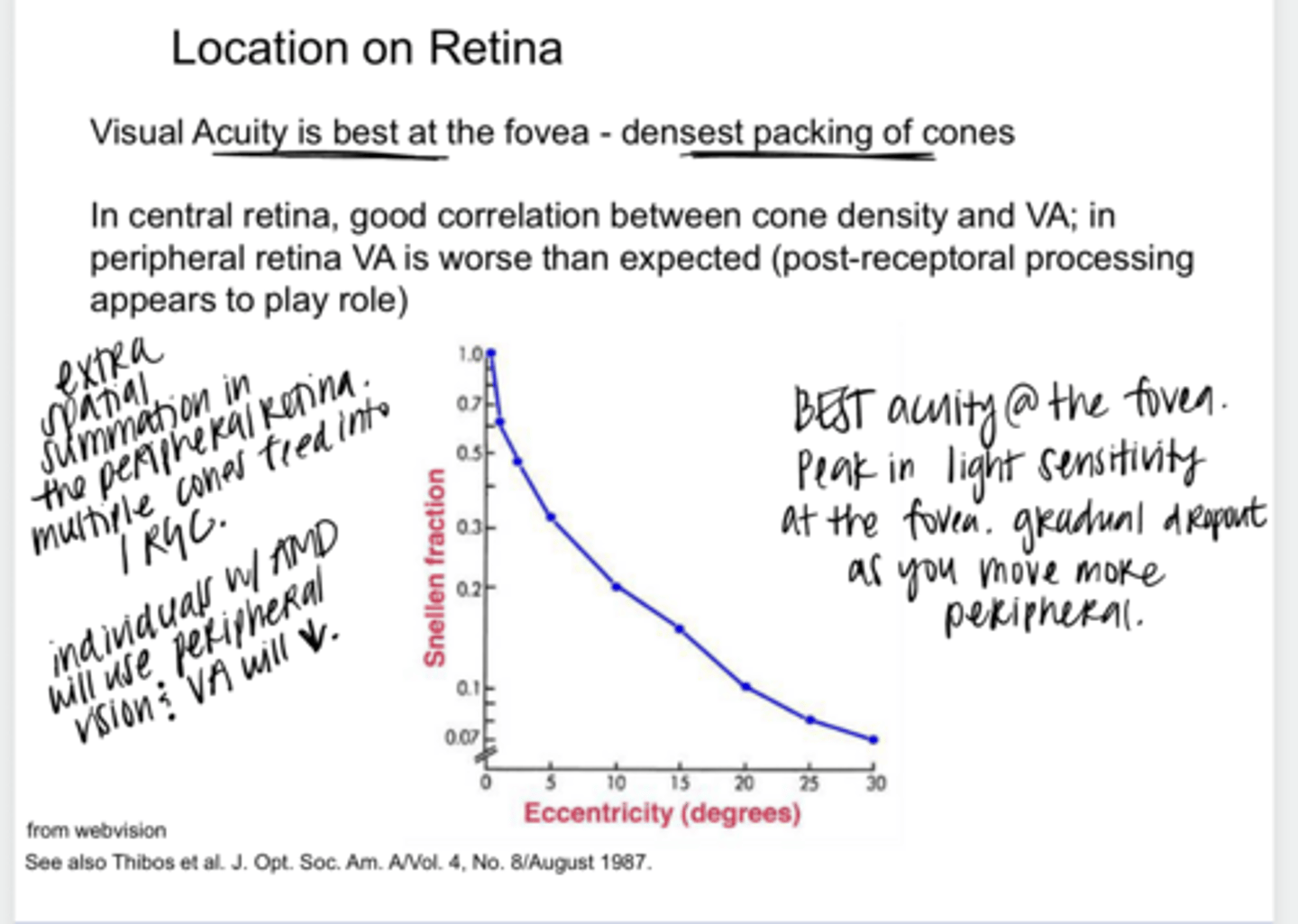 <p>Is VA expected to be worse in the peripheral retina?</p>