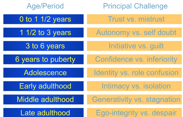 <ol><li><p><span>Supported Harlow’s studies on attachment. Attachment at a young age brings trust.</span></p></li><li><p><span>Proper relationships should bring autonomy and initiative to young children.</span></p></li></ol>