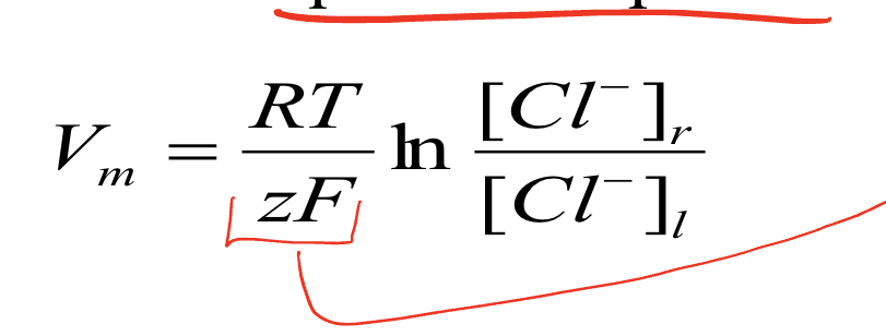 <p>used to calculate the equilibrium potential of a single ion </p>