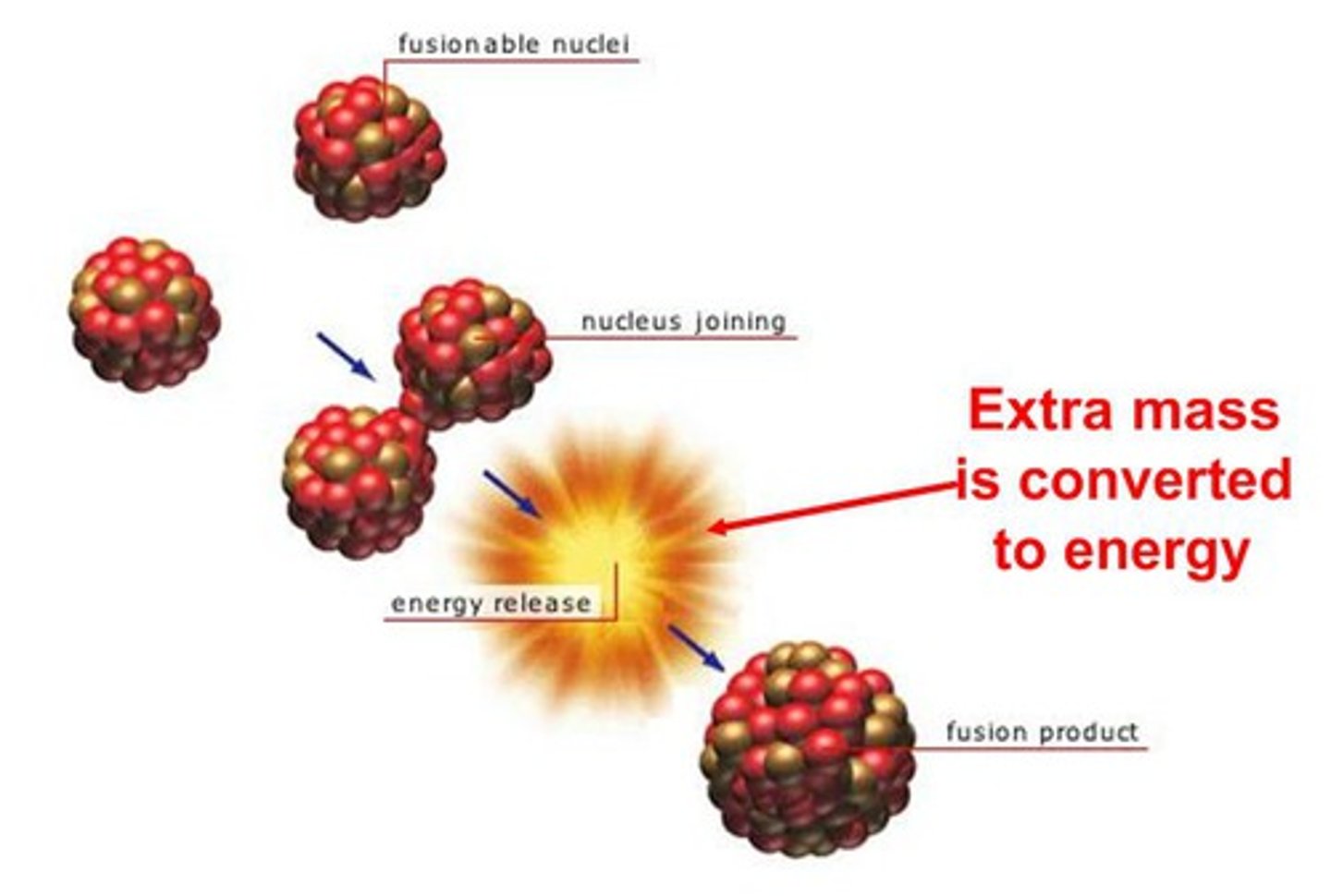 <p>the joining together of small nuclei, such as hydrogen, to form a larger nucleus and release energy</p>