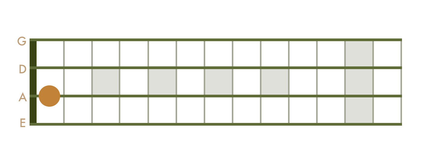 <p> 1st Fret - A String</p>