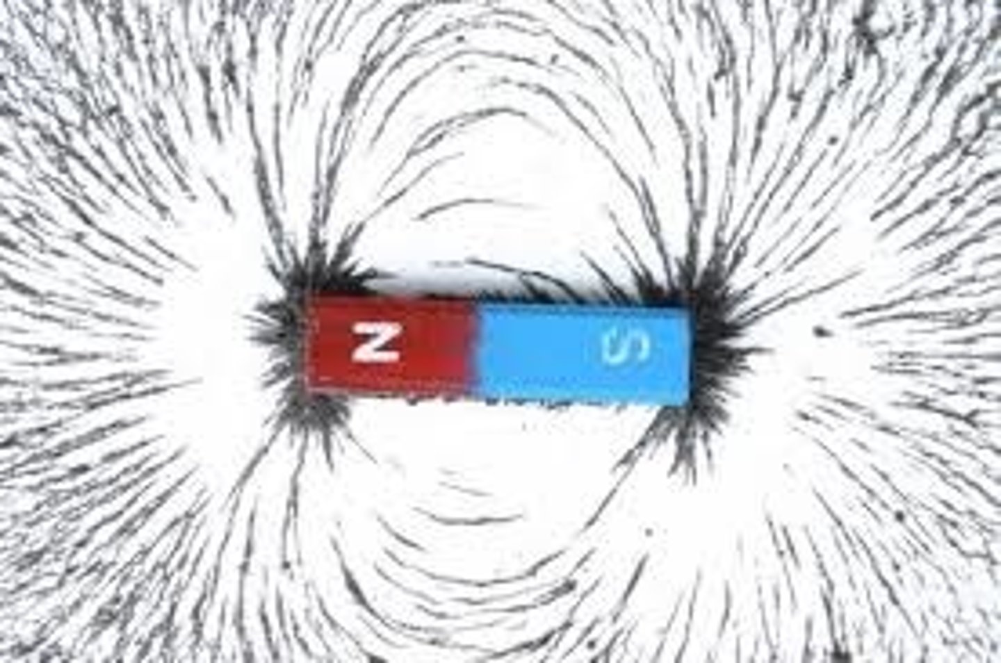 <p>the end of a magnet that seeks the earth's north magnetic pole.</p>