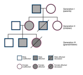 <p>helps to determine genetic family lineage; used in genetic tracing studies</p>