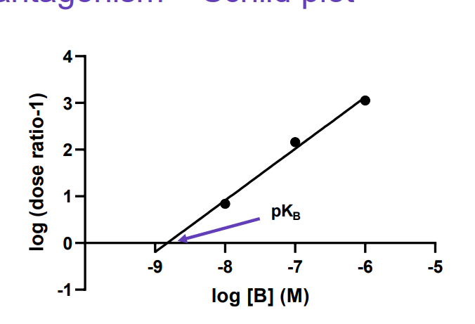 <p>i)If the slope is equal to 1 then the antagonist is considered competitive. ii) If the slope is equal to 1, the intercept with the x-axis gives the –log KB </p>
