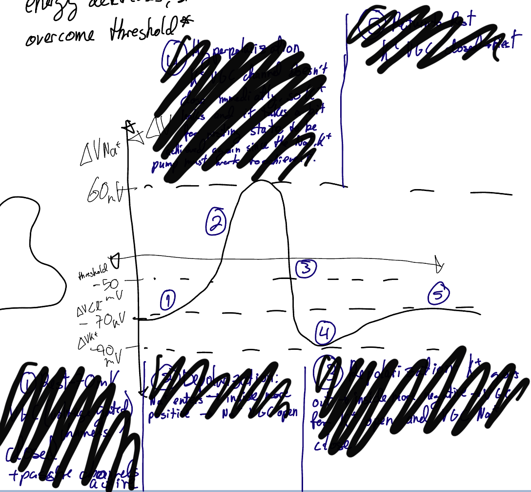 <p>Explain 1-5</p>