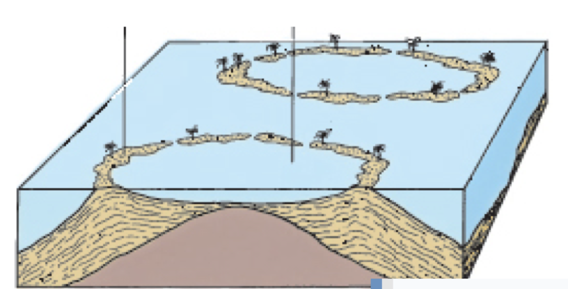 What is this feature?