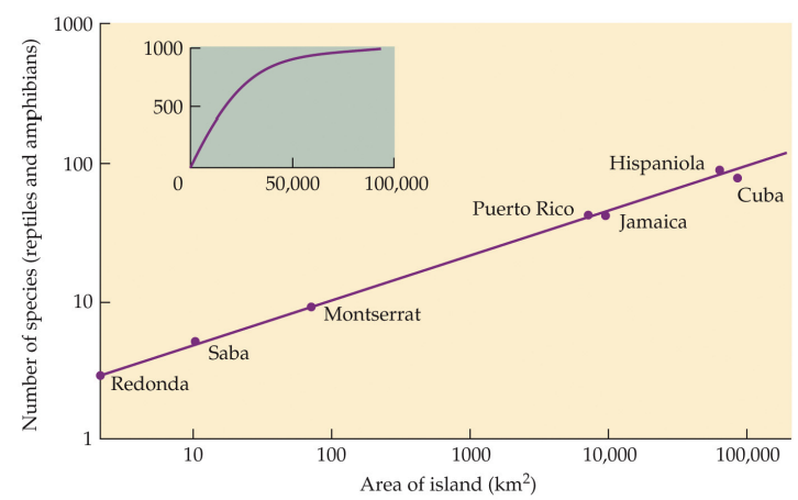 <p>what is an island area?</p>
