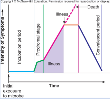 <p>-Incubation period: no obvious signs and symptoms</p><p>-Prodromal stage: onset of signs and symptoms, not clear enough for diagnosis</p><p>-Period of illness: disease is most severe, signs and symptoms</p><p>-Convalescence: signs and symptoms begin to disappear</p>