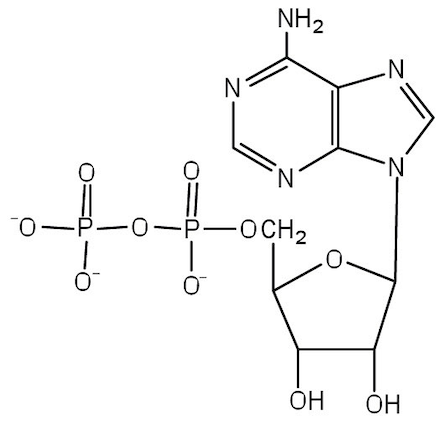 <p>Name that structure.</p>
