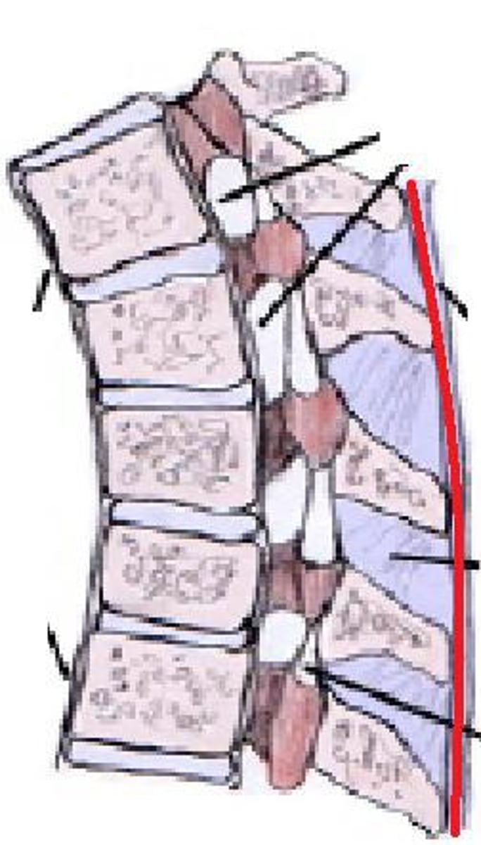 <p><em>identify the structure</em></p>