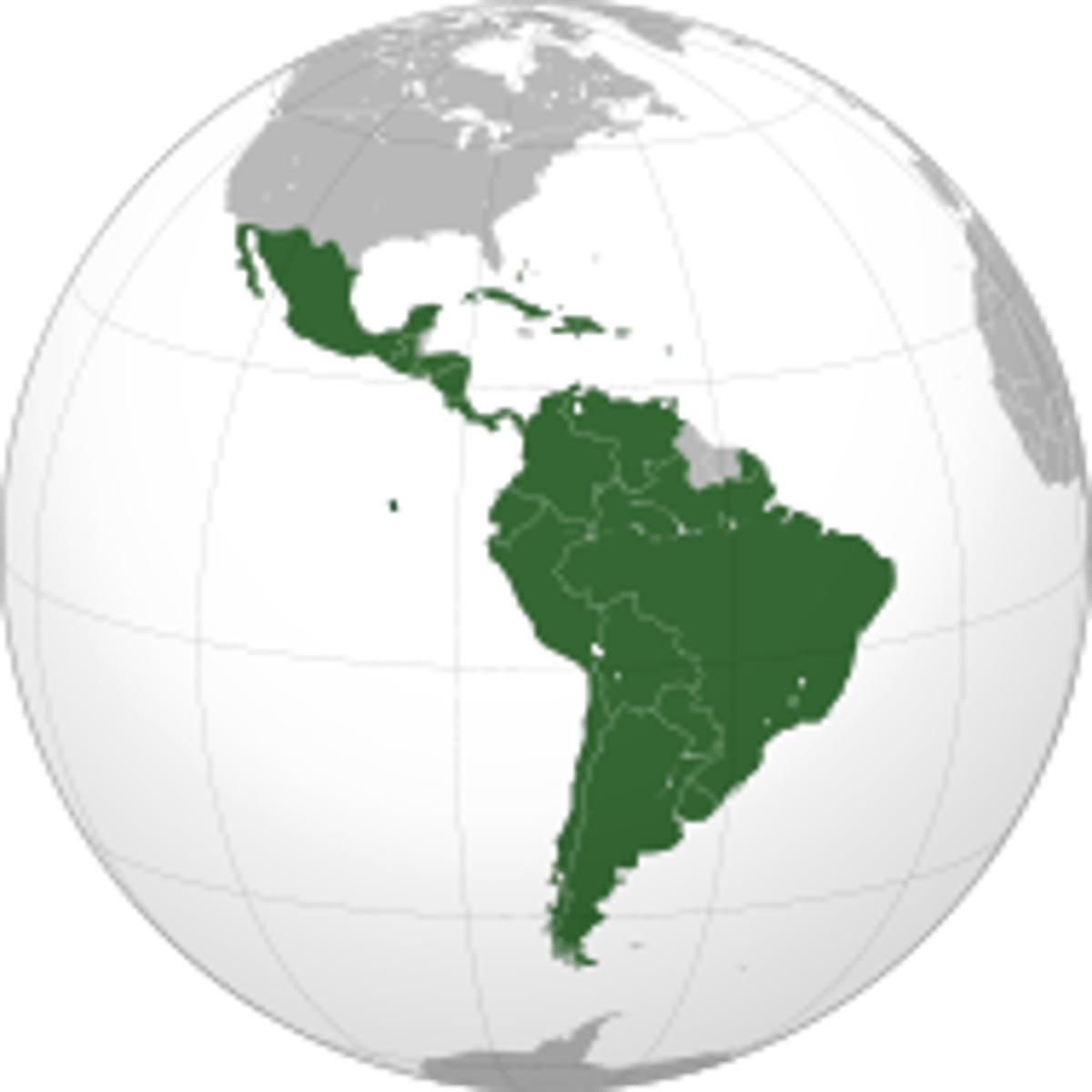<p>Also Uniform or Homogeneous Region, a regions united by 1 or more traits/characteristics.</p>