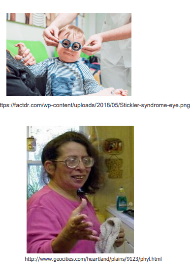 <p>mutation in ______ causes stickler syndrome </p>