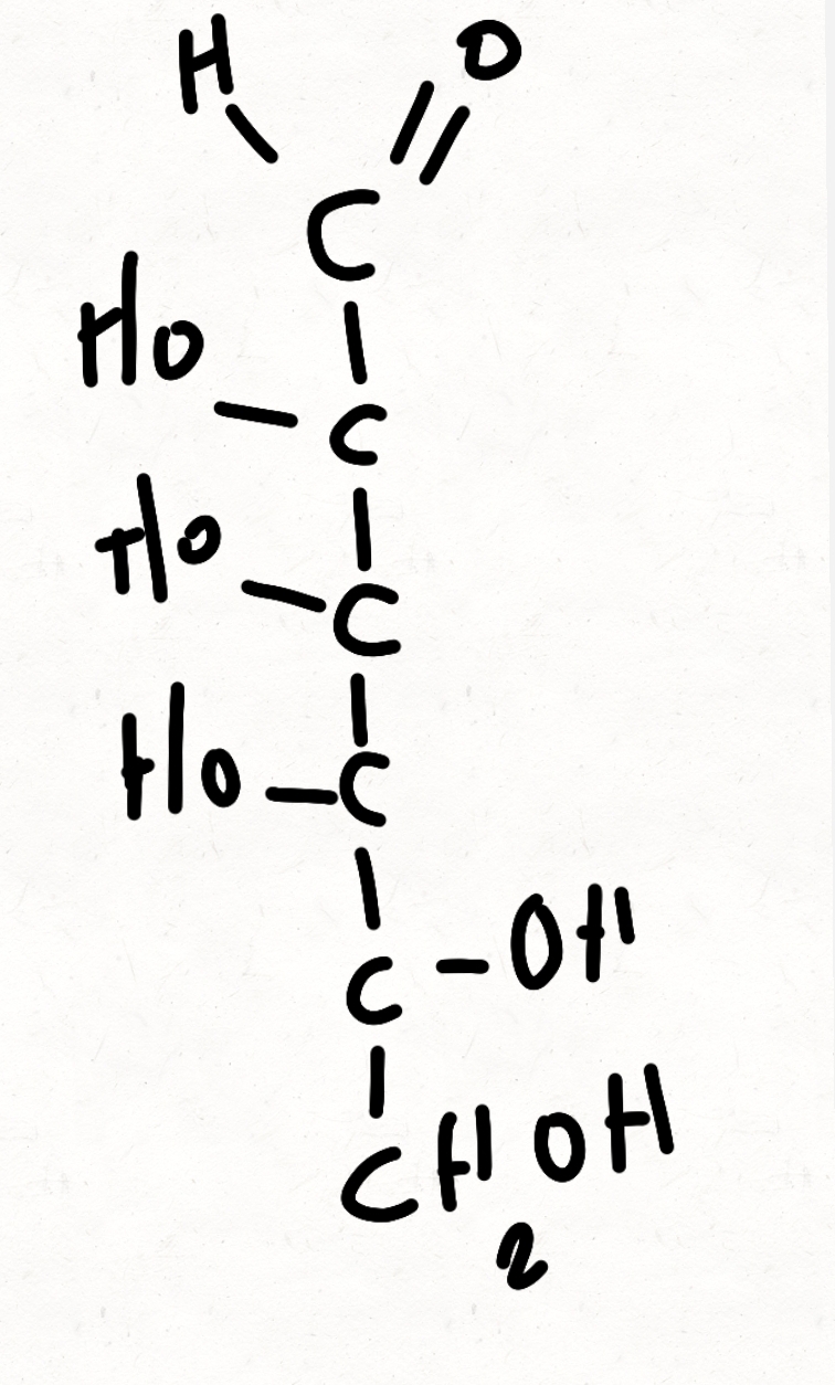 <p>a rare hexose related to glucose, found in certain natural products.</p>