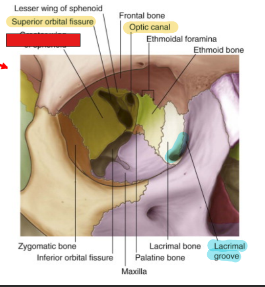 <p>fill in the red box:</p>