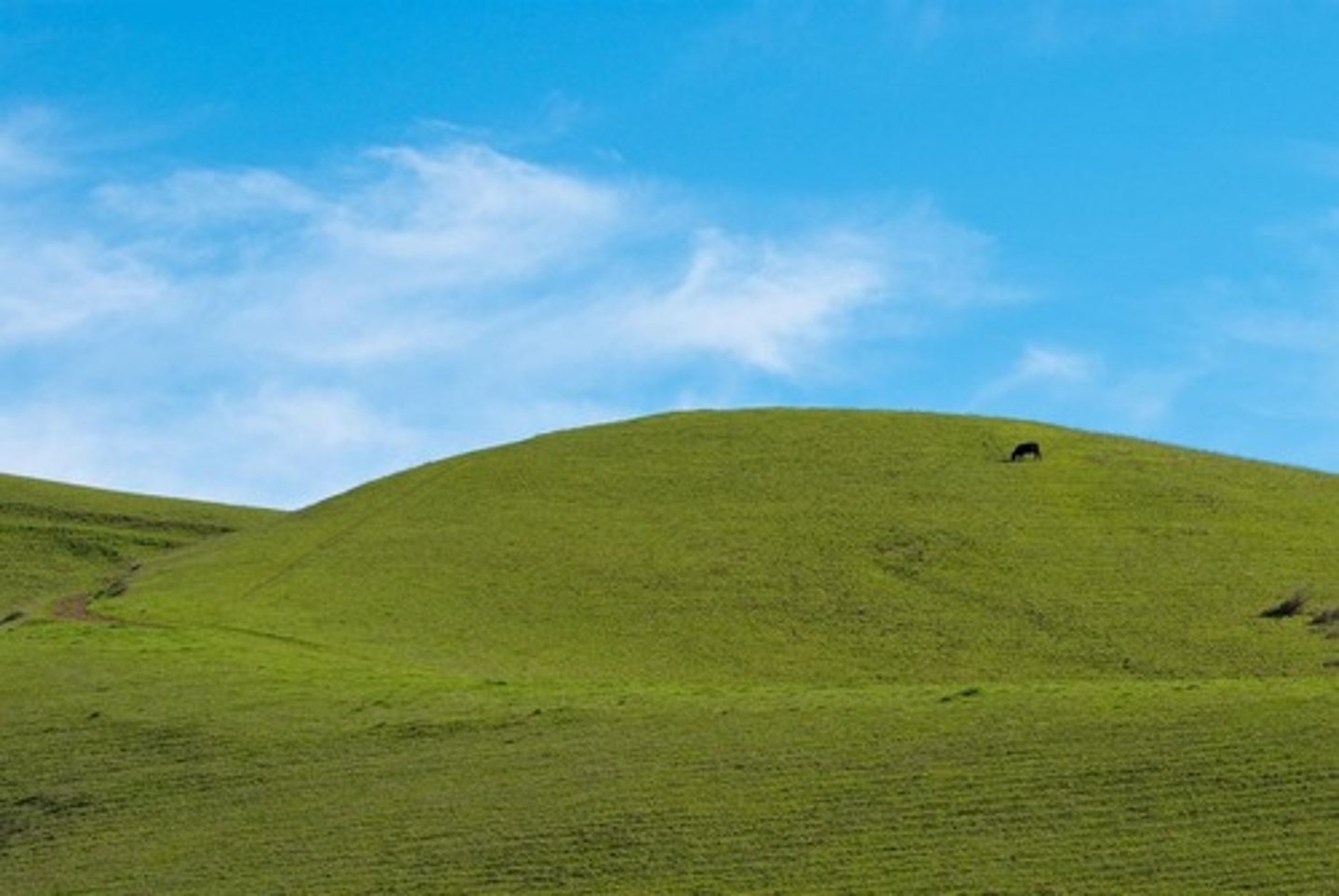 <p>Land higher than lowlands, gentle slopes</p>