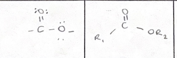 <p>which functional group</p>