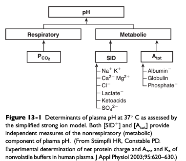 <p>PO2, SID, and [Atot]</p>
