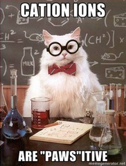 positively charged ion (lost electrons)