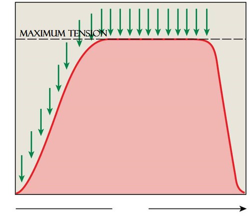 a sustained muscular contraction resulting from a rapid series of nerve impulses