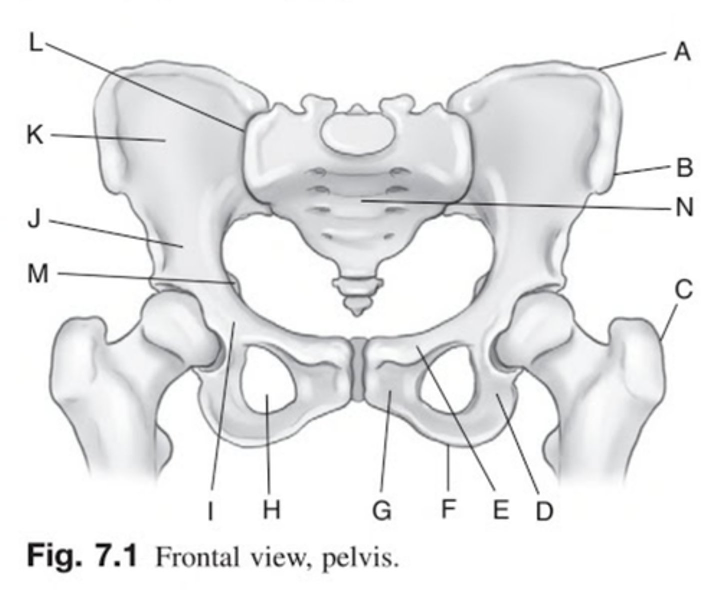 <p>what is this?</p>