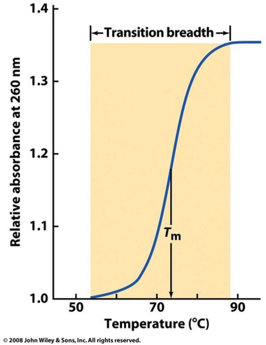 <p>Midpoint of a DNA melting curve in which DNA transitions from a double strand to a single strand</p>