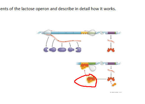 <p>What system + what structure</p>